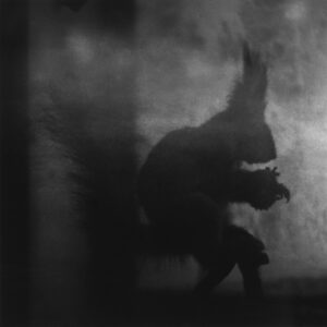 Andrei Liankevich. Pagan / Андрэй Лянкевіч. Паганства - Image 3