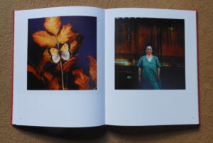 Rena Effendi. Liquid Land - Image 5