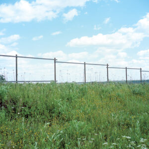 Fedor Shklyaruk. New Territory - Image 4