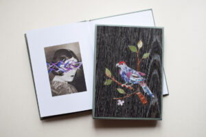 Julia Borissova. Running to the Edge (limited edition) - Image 2