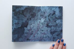 Ekaterina Anokhina. 25 Weeks of Winter (Last copy) - Image 7