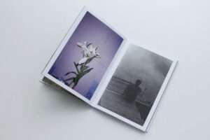 Ekaterina Anokhina. 25 Weeks of Winter (Last copy) - Image 6
