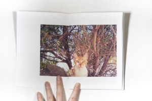 Elena Kholkina "Your cat" - Image 3