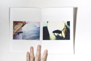 Elena Kholkina "Your cat" - Image 5