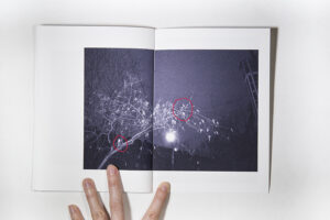 Elena Kholkina "Your cat" - Image 10