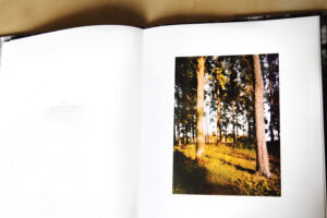 Ludmila Zinchenko. Russian Forest - Image 4