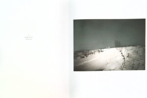 Ludmila Zinchenko. Russian Forest - Image 5