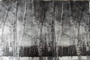 Ludmila Zinchenko. Russian Forest - Image 7