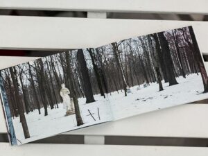 Olga Matveeva. NorthEast - Image 5