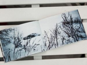 Olga Matveeva. NorthEast - Image 6