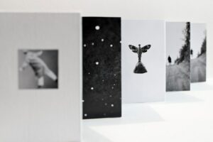 Julia Borissova. J.B. about men floating in the air - Image 2