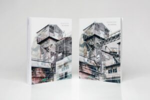 Alexander Gronsky, Ksenia Babushkina. Schema - Image 3