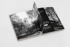Arthur Bondar. Shadows of Wormwood - Image 6