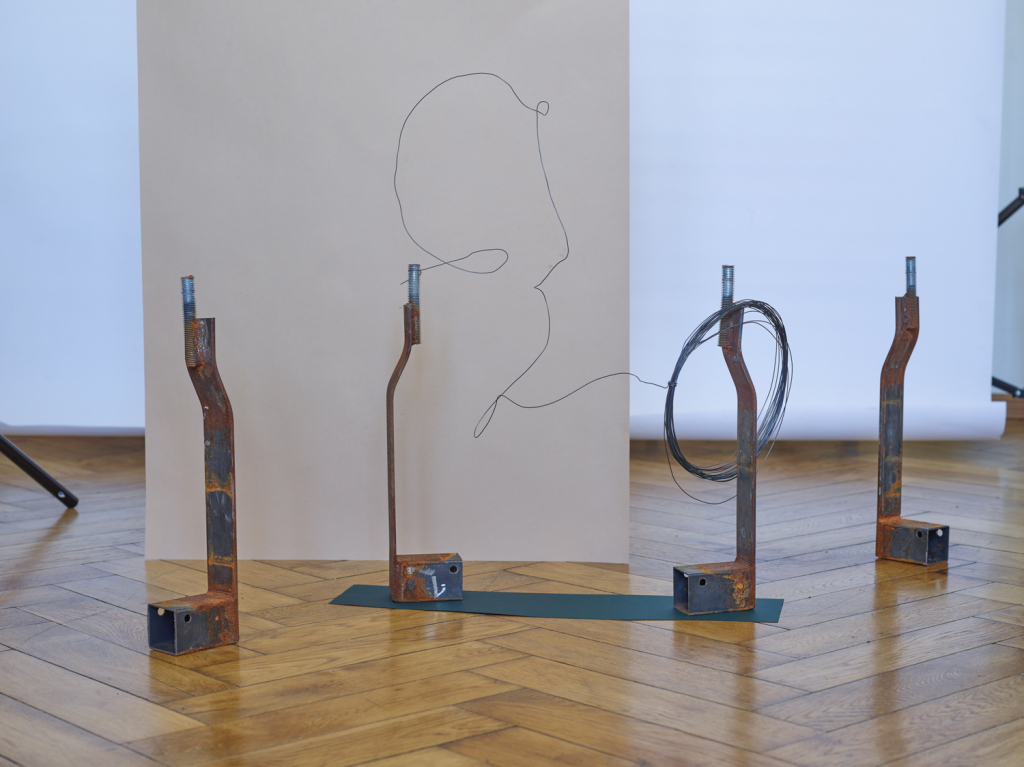 Anna Prilutckaia.  I like hardware stores 2018
