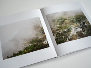 Alexander Gronsky. Mountains and Waters - Image 2