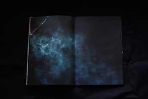 Anna Block and Anastasia Lobanova. Last Days of Snow - Image 5