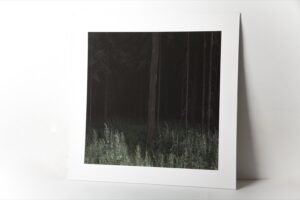 Stanislav M. Untitled IV - Image 3