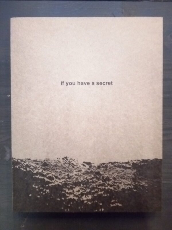 Irina Popova. If You Have a Secret (second edition)