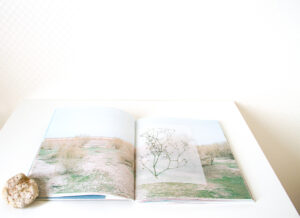 Natalia Baluta. Sea I become by degrees - Image 4