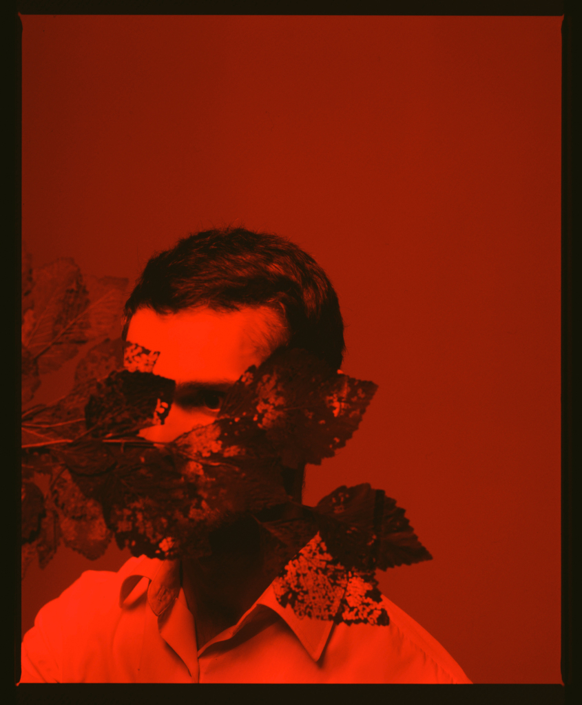 Anastasia Soboleva. Tear Line series II