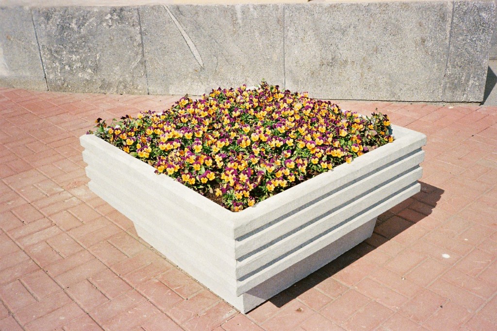 Tatyana Palyga. 3