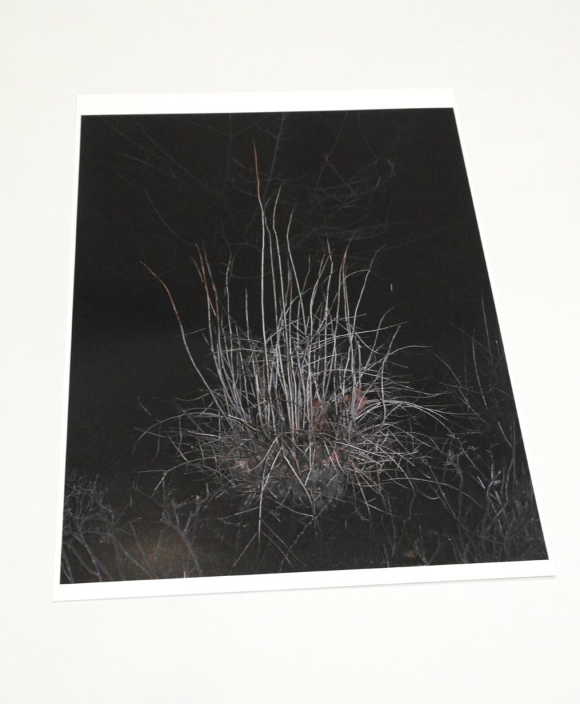 Alexander Bondar. Untitled