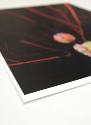 Alexander Bondar. Untitled - Image 2