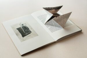 Julia Borissova. Let Me Fall Again - Image 4