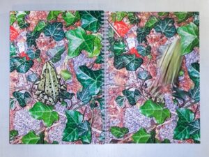 Zoopark #4 - Image 3