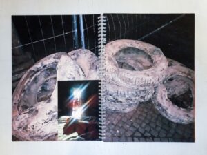 Zoopark #4 - Image 9