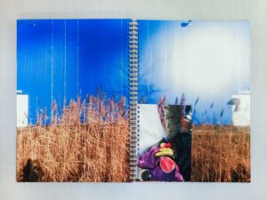 Zoopark #4 - Image 10