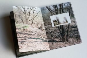 Julia Borissova. Looking for Dimitry - Image 2