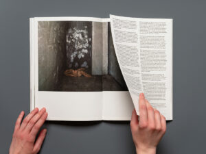 Vladimir Seleznev. OSEYEV. The history of a ghost town (Signed) - Image 11