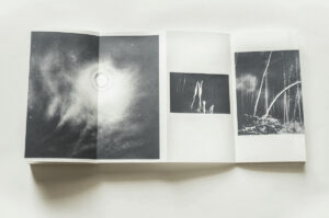 Vitaly Severov. Summer Shore - Image 5