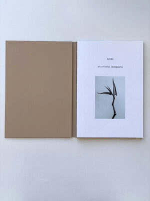 Anastasia Liubimova. Lines - Image 4