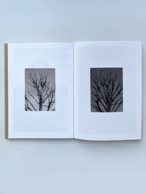 Anastasia Liubimova. Lines - Image 7