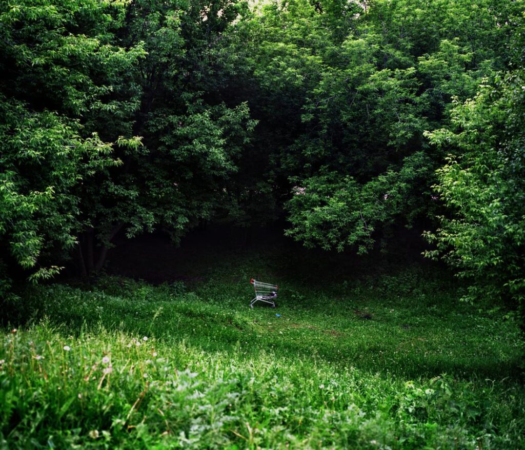 Julia Abzaltdinova. Noise in the park II