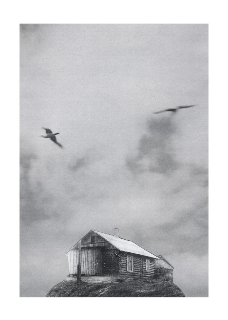 Julia Borissova. J.B. about men floating in the air III, 50х70