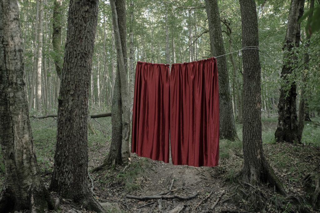 Natasha Lozinskaya. Into the forest I. 40×60