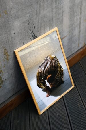 Yana Bulgakova. Untitled III. 40x60 - Image 3