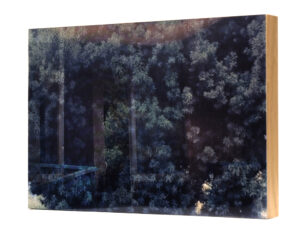 Yury Gudkov. Keep an eye №100. 20x28 - Image 2