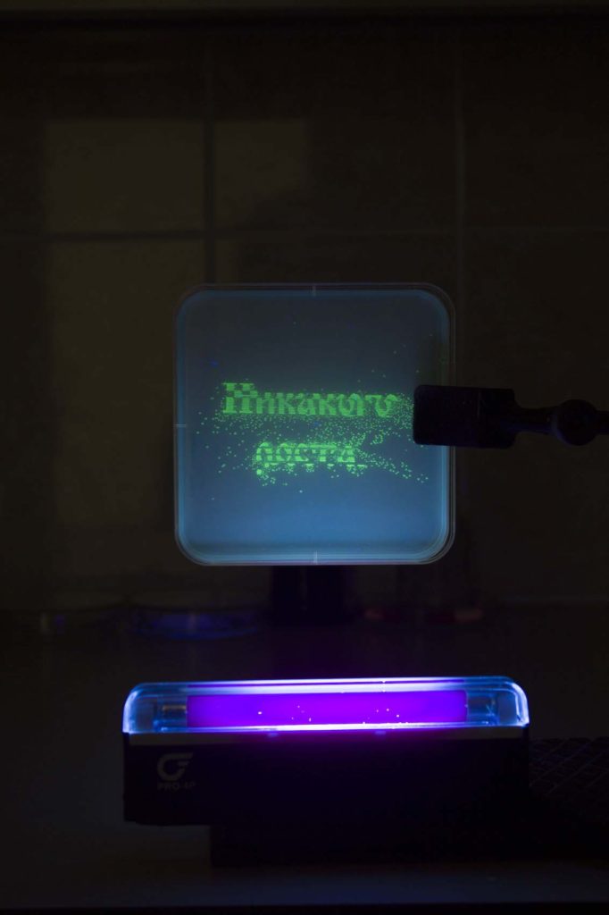 BIOROBOTY 019. No growth, Bacterium I. 50×70