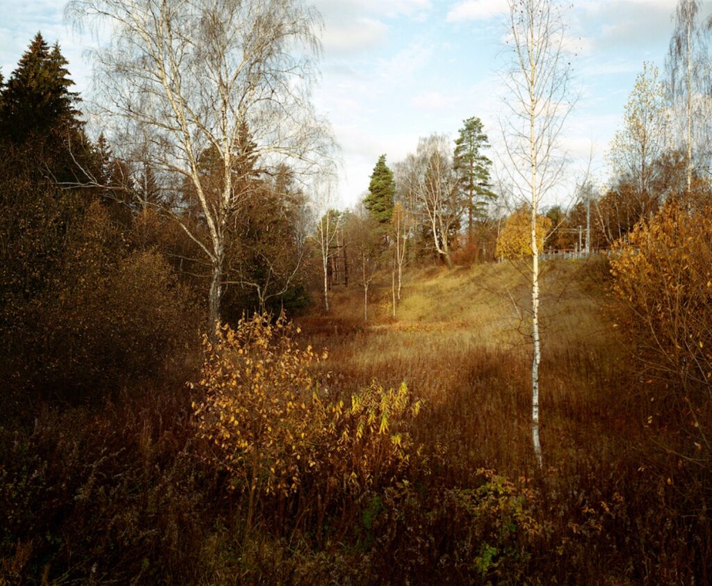 Evgeny Gusarov. Untitled II, 40х50