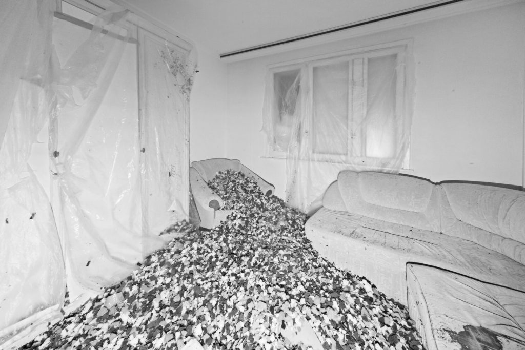 Irina Ivannikova. Renovation VII. 60х90
