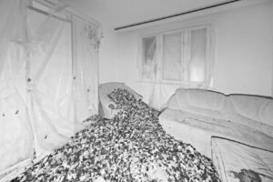 Irina Ivannikova. Renovation VII. 60х90