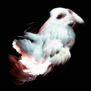 Daniil Makarov. Cherub. 33x33