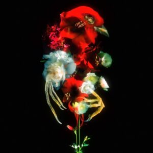 Daniil Makarov. Flowers of war I, 40x40