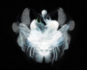 Daniil Makarov. Newborn pearl. 40x50