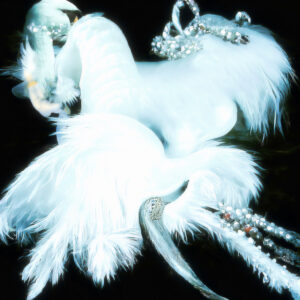 Daniil Makarov. Swan. 30x30
