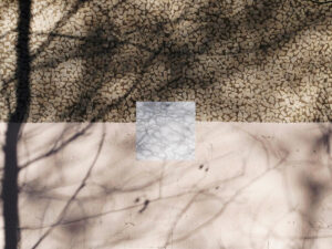 Denis Shulepov. Package of beautiful things III. 40х50